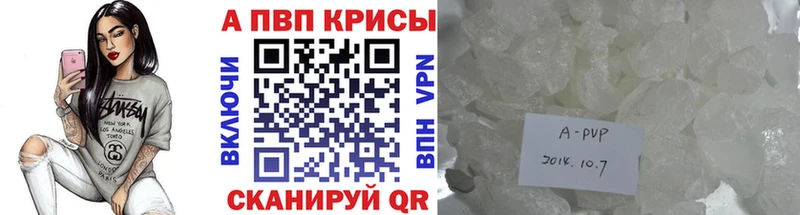 Alfa_PVP СК  kraken ТОР  Томари 