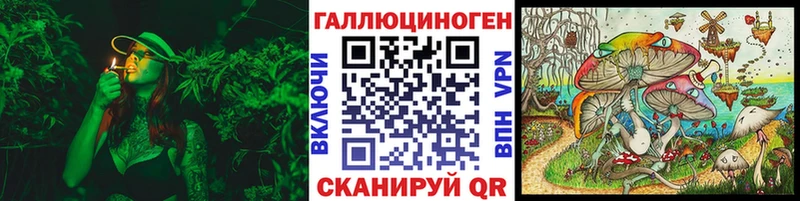 МЕГА tor  Томари  Галлюциногенные грибы Psilocybe 